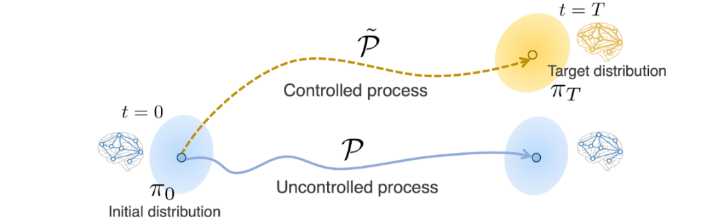 Quantifying control costs in stochastic neural systems