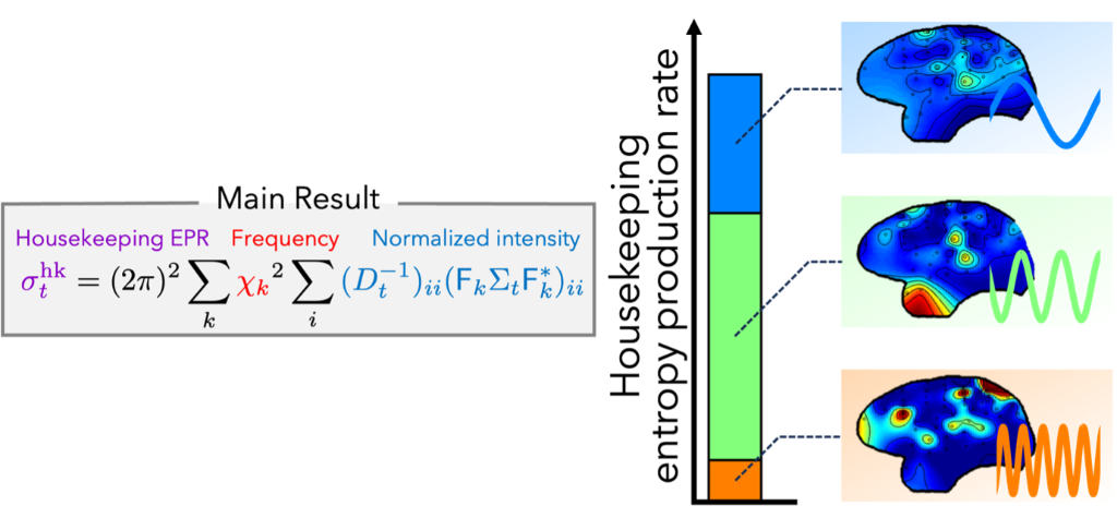 Relation between neural oscillations and thermodynamic dissipation